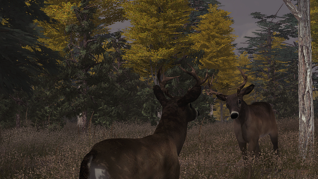 deer-simulator-unity-connect