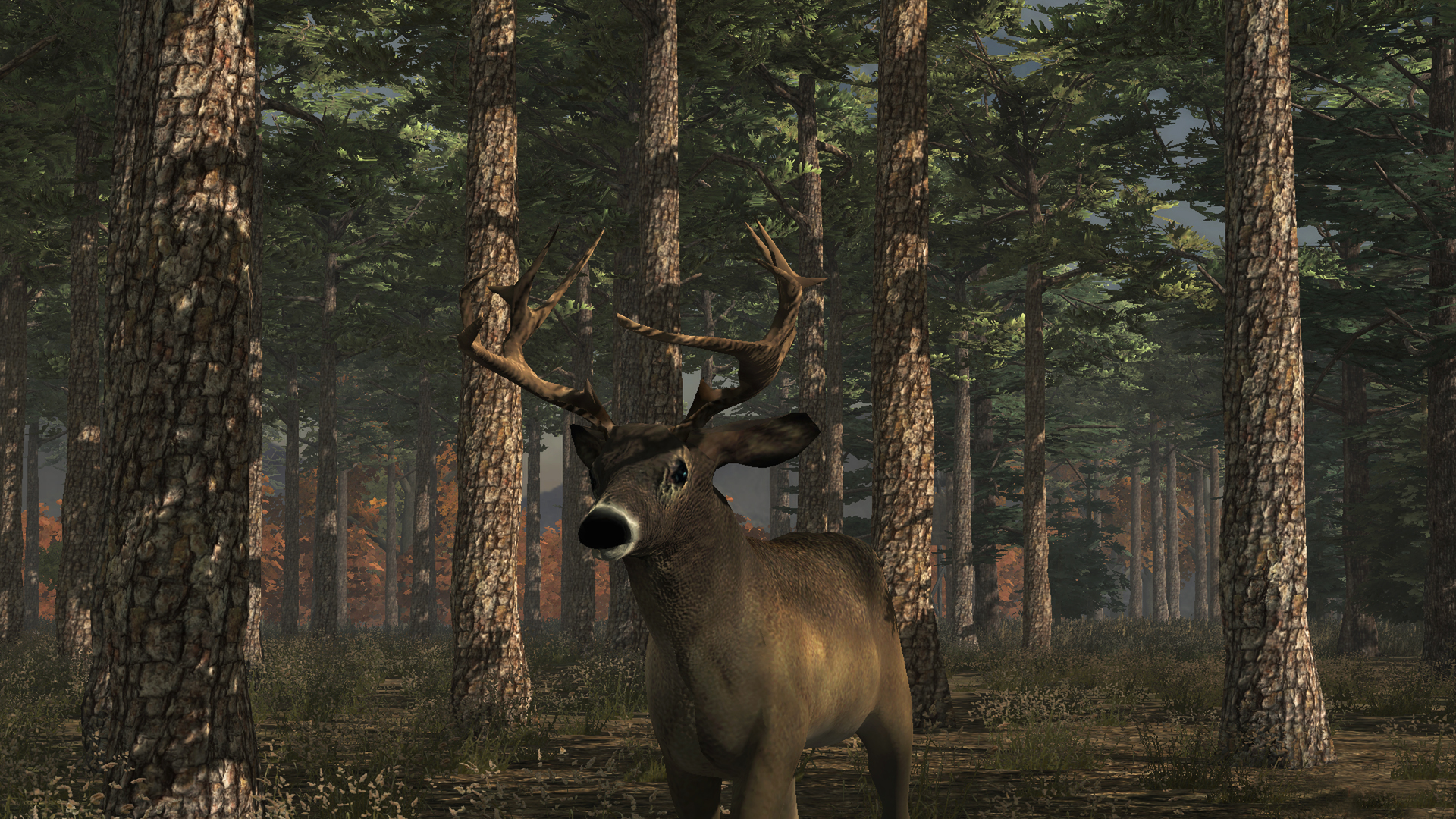 deer-simulator-unity-connect