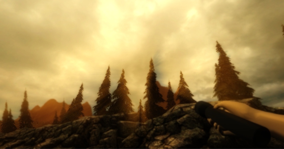 Forest map Unity Connect