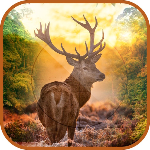 for ipod download Hunting Animals 3D