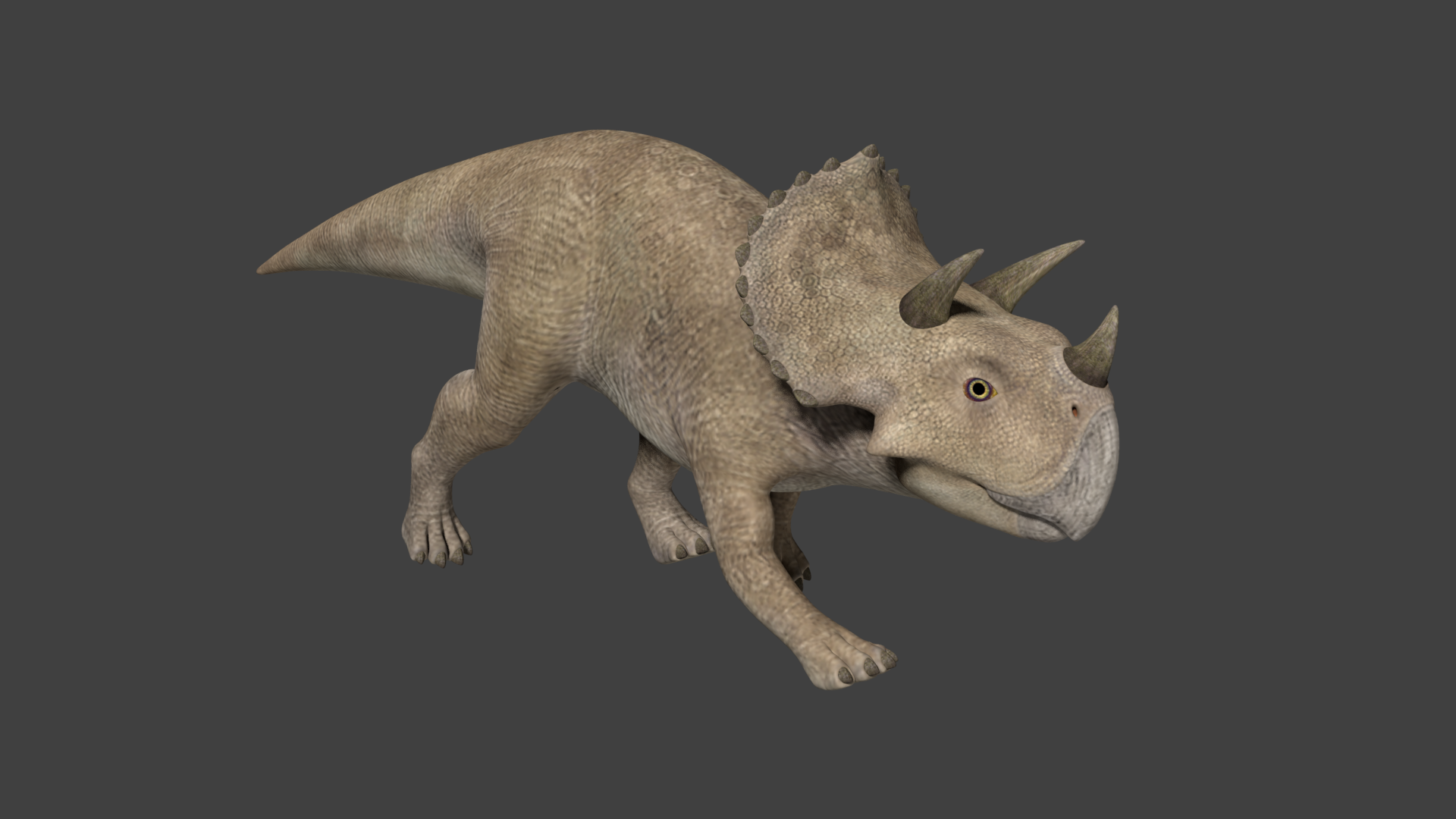 Realistic Triceratops - Unity Asset - Unity Connect